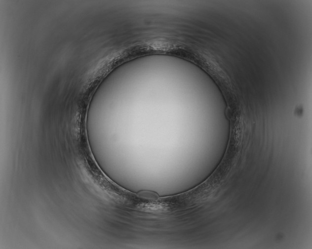 X0000116680639200912291720