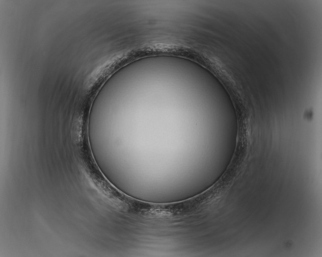 X0000116680640200912291720