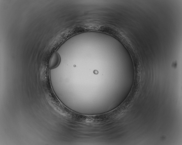 X0000116680641200912291720