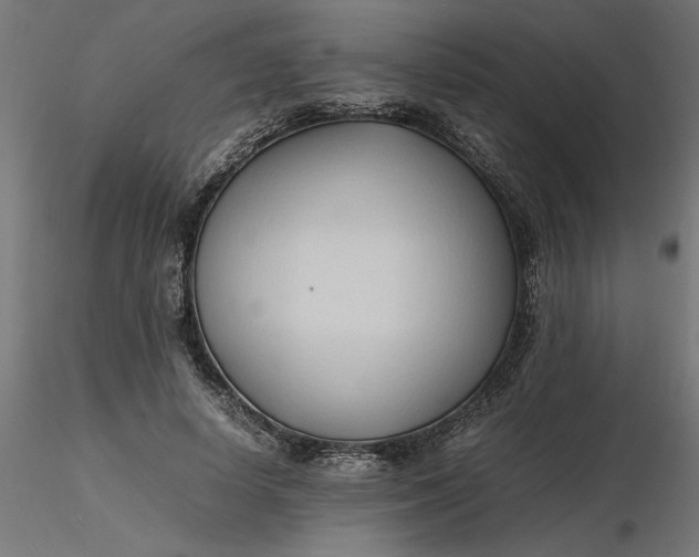 X0000116680642200912291720