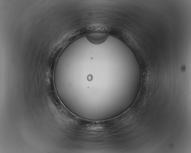 X0000116680643200912291720