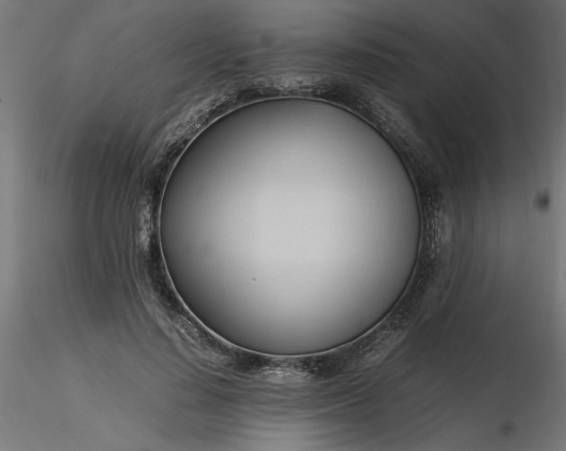 X0000116680644200912291720