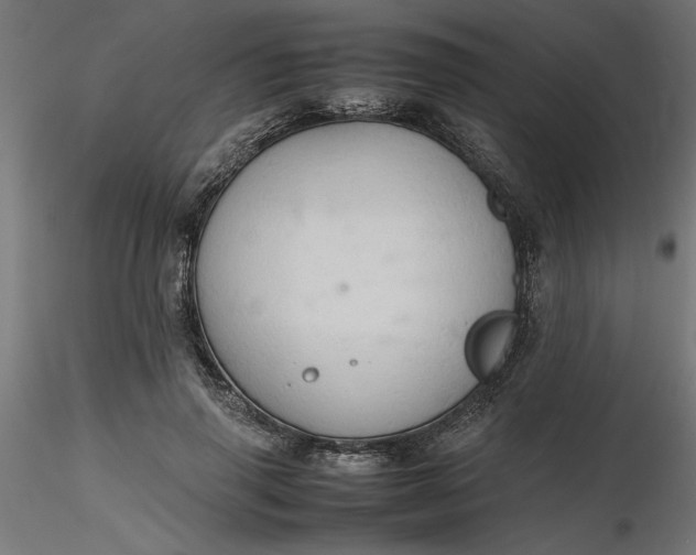 X0000116680645200912291720