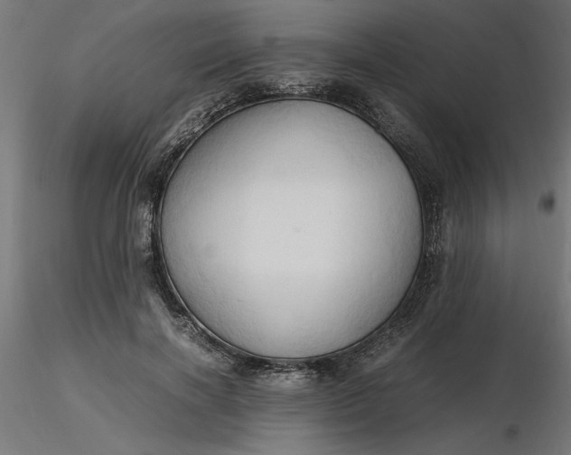 X0000116680646200912291720