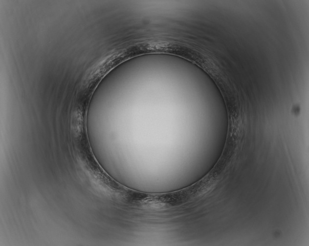 X0000116680648200912291720