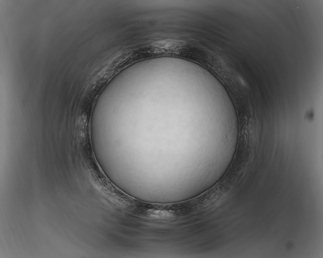 X0000116680649200912291720