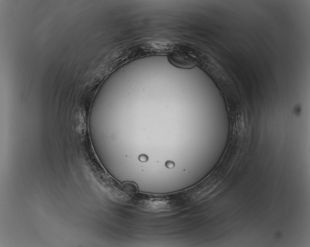 X0000116680651200912291720