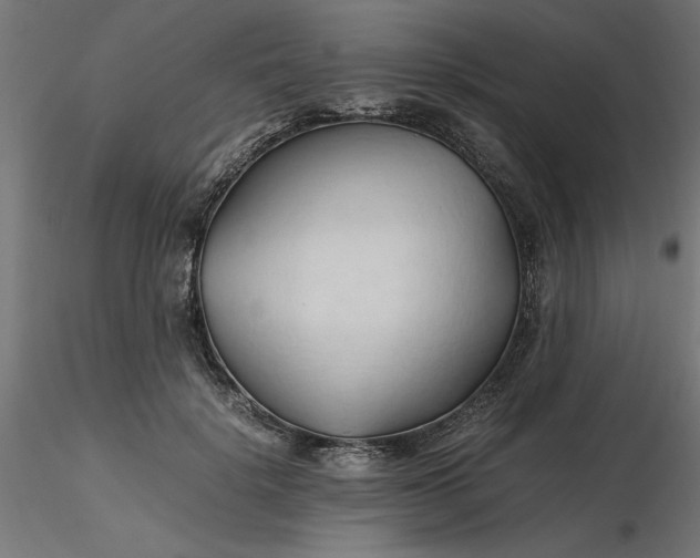 X0000116680652200912291720