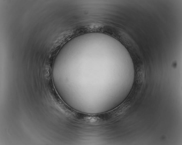 X0000116680654200912291720