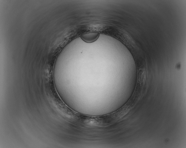 X0000116680655200912291720