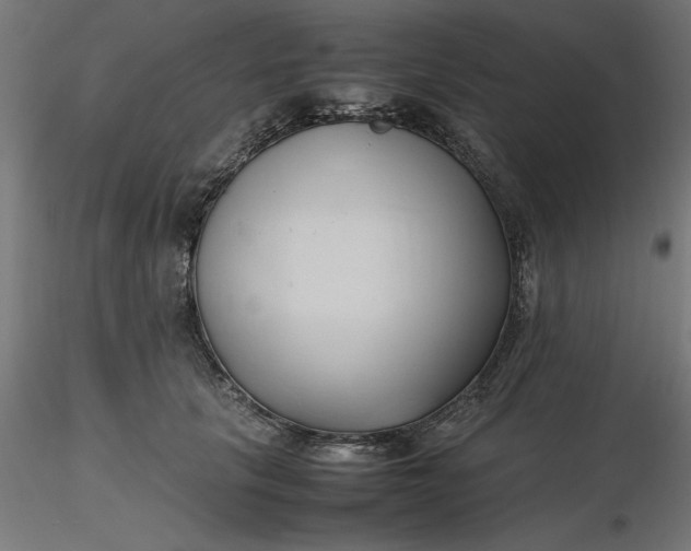 X0000116680657200912291720