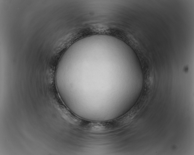 X0000116680658200912291720