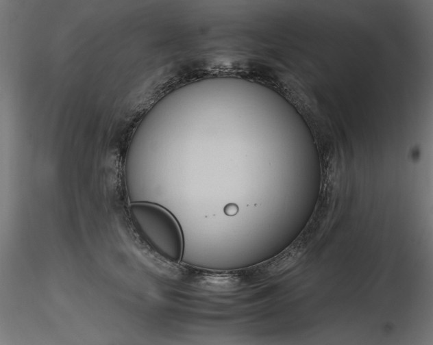 X0000116680659200912291720