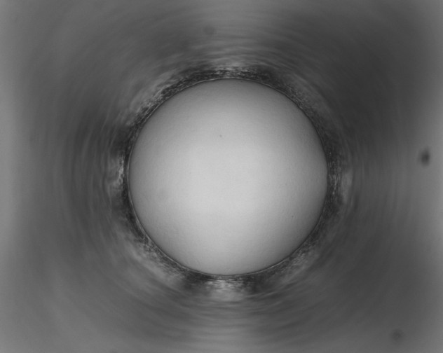 X0000116680660200912291720