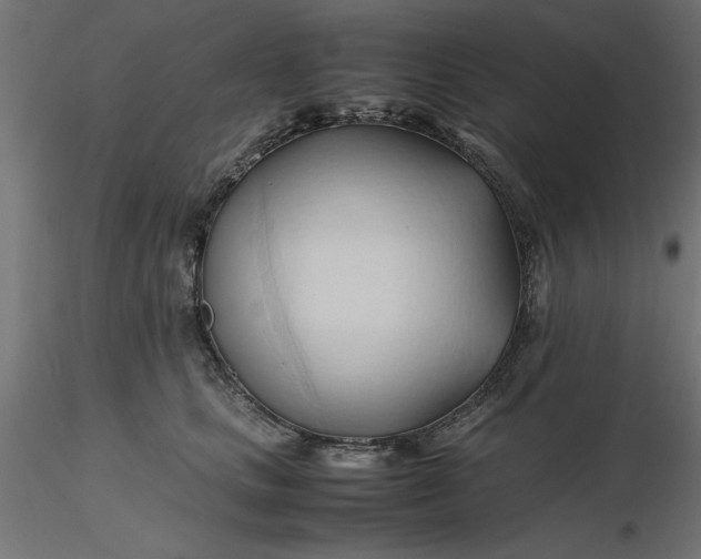 X0000116680661200912291720