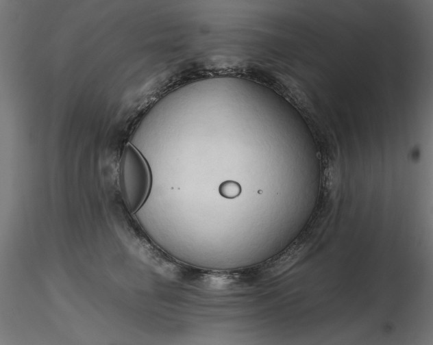 X0000116680662200912291720