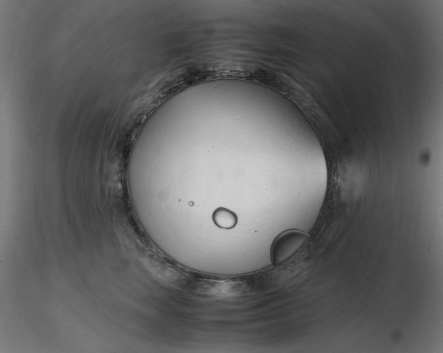 X0000116680663200912291720