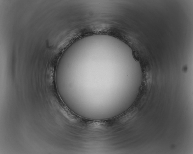 X0000116680664200912291720