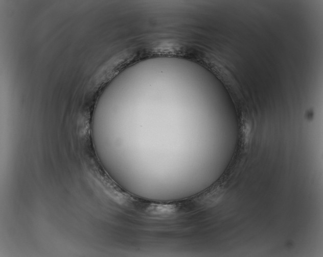 X0000116680665200912291720