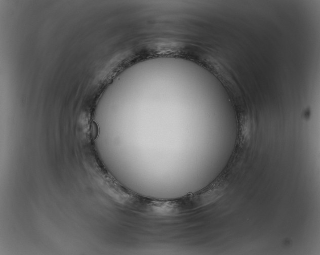 X0000116680667200912291720