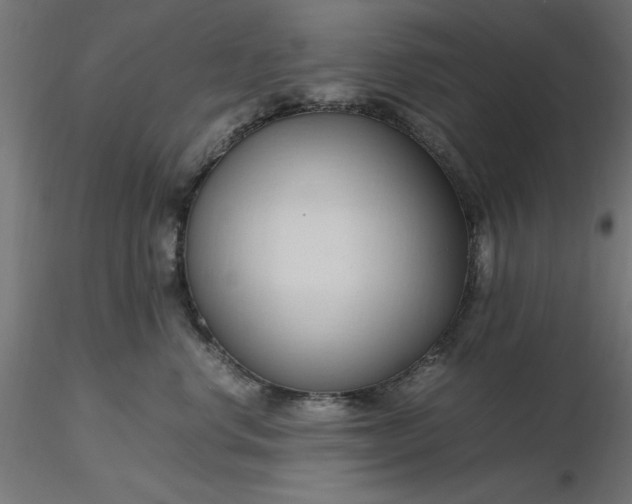 X0000116680668200912291720