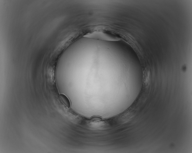 X0000116680669200912291720