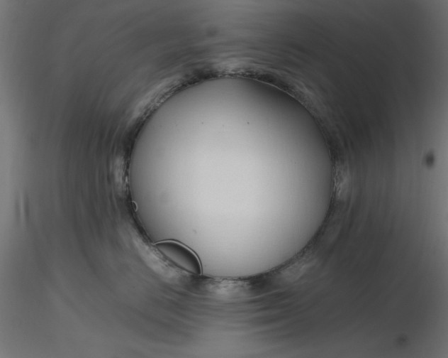 X0000116680670200912291720