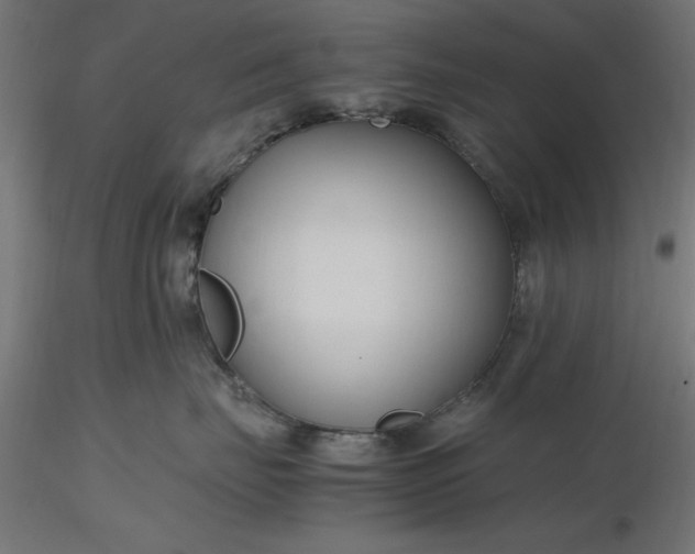 X0000116680671200912291720