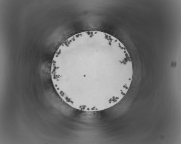 X0000116680672200912291720