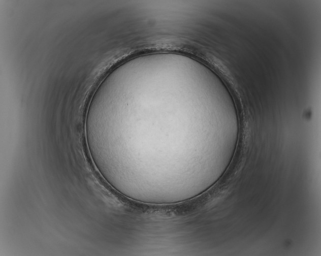 X0000116680673200912291720