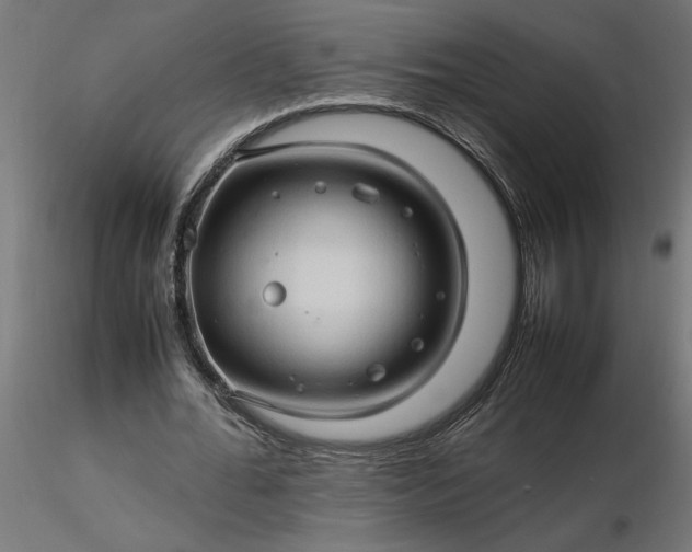 X0000116680676200912291720