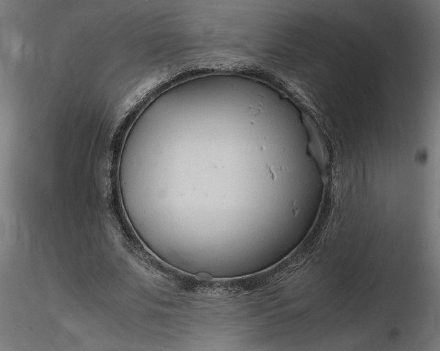 X0000116680679200912291720