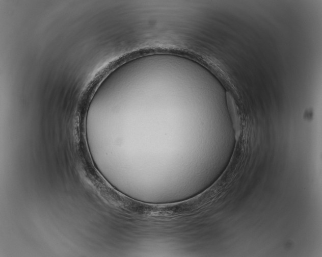 X0000116680680200912291720