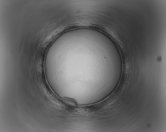 X0000116680681200912291720