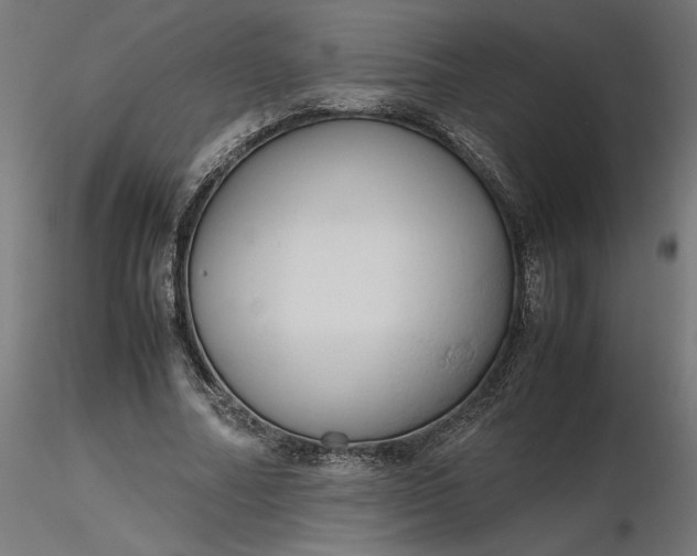 X0000116680682200912291720