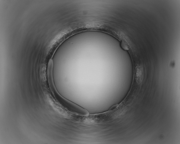 X0000116680684200912291720