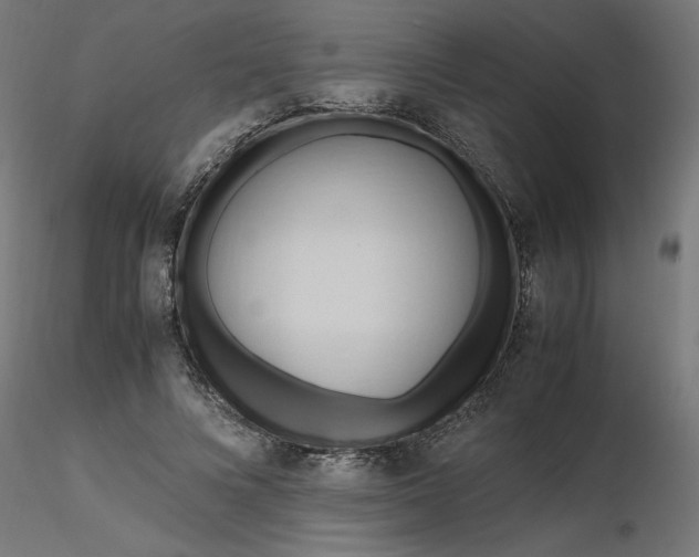 X0000116680688200912291720