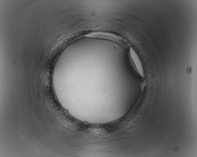 X0000116680689200912291720