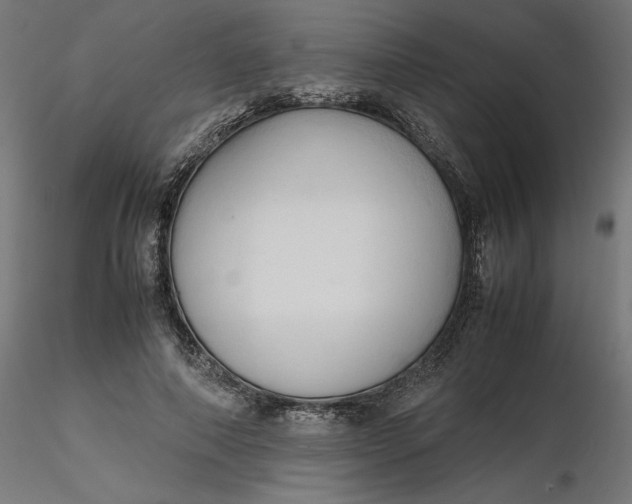 X0000116680690200912291720