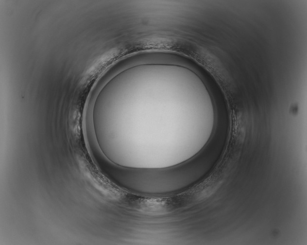 X0000116680692200912291720