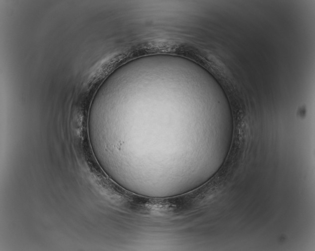 X0000116680693200912291720