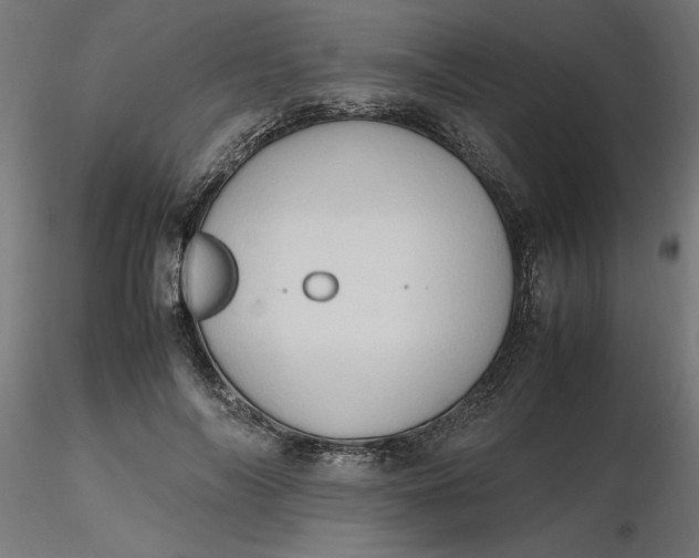 X0000116680694200912291720