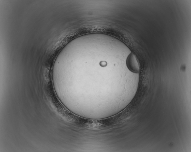 X0000116680695200912291720