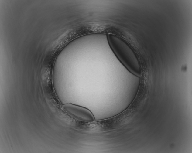 X0000116680697200912291719