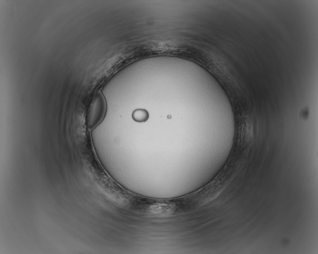 X0000116680700200912291719