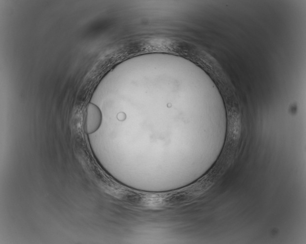 X0000116680701200912291719