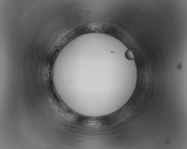 X0000116680702200912291719