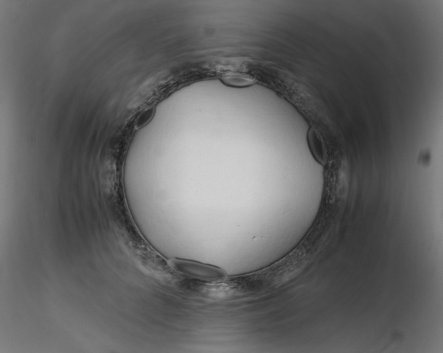 X0000116680704200912291719