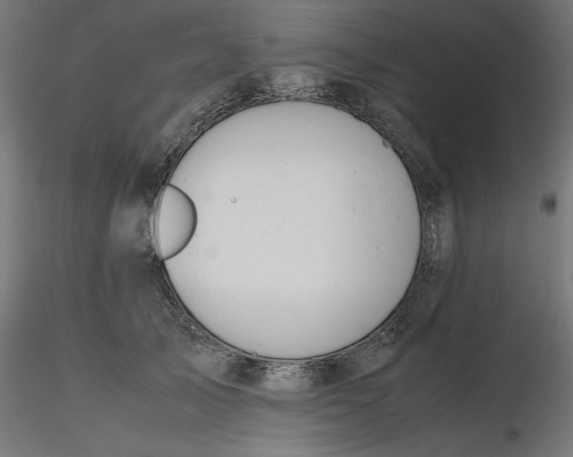 X0000116680705200912291719