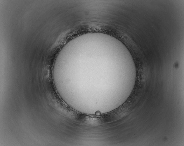 X0000116680706200912291719